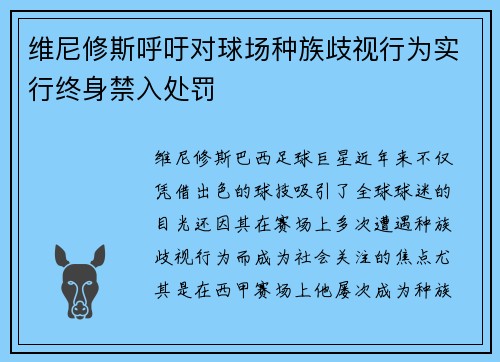 维尼修斯呼吁对球场种族歧视行为实行终身禁入处罚