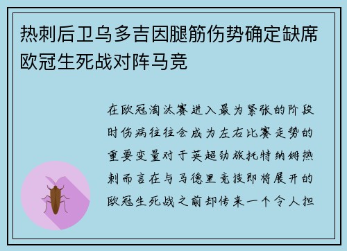 热刺后卫乌多吉因腿筋伤势确定缺席欧冠生死战对阵马竞